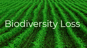 Biodiversity Loss