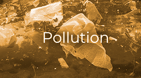 Pollution