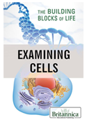 Examining Cells: The Building Blocks of Life