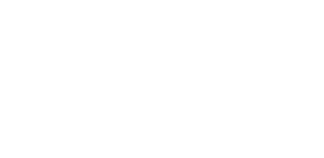 Epilepsy Foundation