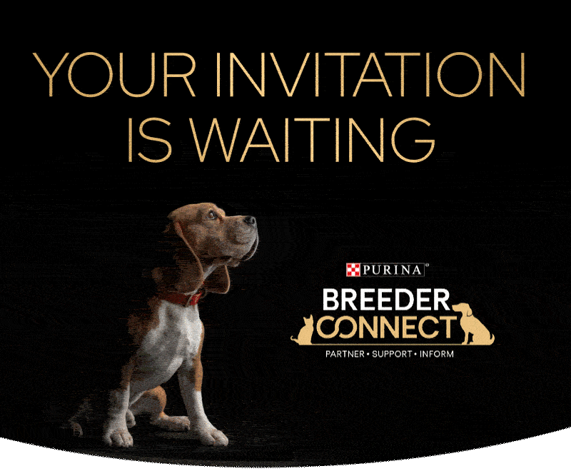 Your Invitation is waiting